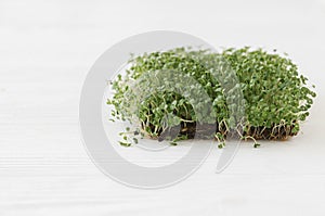 Growing microgreens at home. Fresh basil sprouts on linen mat on white wood, copy space. Sprouter photo