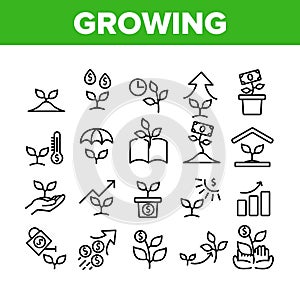 Growing Money Plant Collection Icons Set Vector