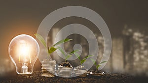 Growing Money Plant On Energy saving light bulb with piggy and tree growing on stacks of coins on line technology background, Coin
