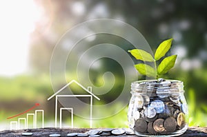 Growing Money and plant, Saving money concept, concept of financial savings to buy a house