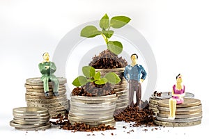 Growing Money in time - Plant On Coins - Finance And Investment. Shooting on studio white background