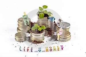 Growing Money in time - Plant On Coins - Finance And Investment. Shooting on studio white background