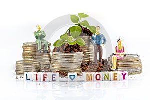 Growing Money in time - Plant On Coins - Finance And Investment. Shooting on studio white background