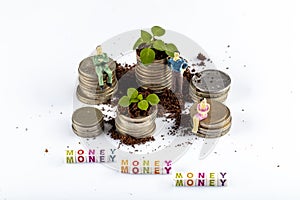 Growing Money in time - Plant On Coins - Finance And Investment. Shooting on studio white background