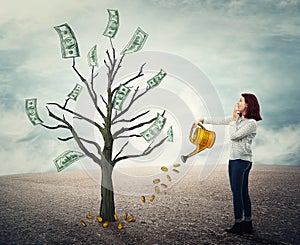 Growing money tree