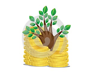 Growing money tree