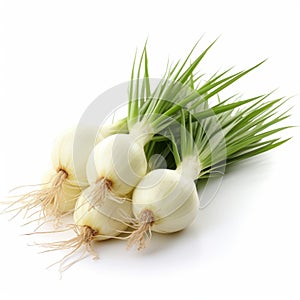 Growing Onions On White Background: Anne Stokes Style photo