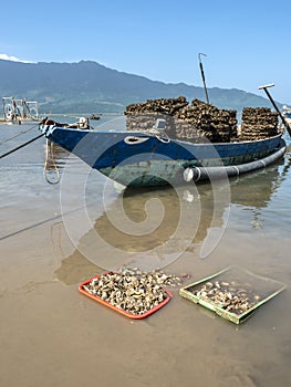 fishing boat with oysters in the water photo