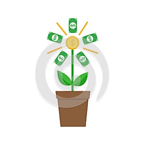 Growing paper money tree shining coin with dollar sign Plant in the pot. Financial growth concept. Successful business icon. Flat