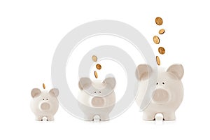 Growing Piggy Banks