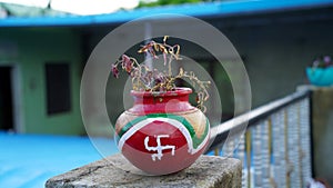 Growing plant in clay pot or Matka or Kalash at home on roof. Printed Swastik mark on pot.