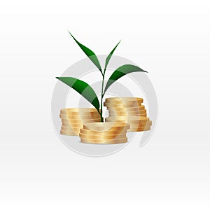 Growing plant on coin money for finance and banking concept