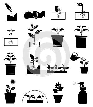 Growing plant icons set