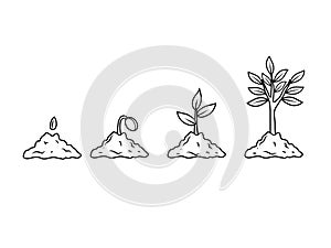 Growing plant seeding sprout plant and tree black line drawing