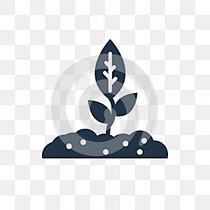 Growing Plant vector icon isolated on transparent background, Gr