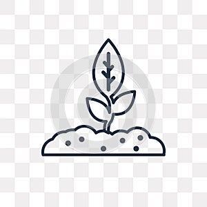 Growing Plant vector icon isolated on transparent background, li