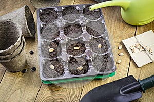 Growing plants in cassettes with pressed peat pellets.