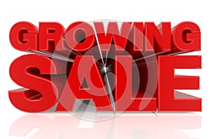 GROWING SALE word EXPLANATION word isolated on white background 3d renderingon white background 3d rendering