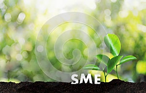 Growing Savings business SME or Small and medium-sized enterprises Computing Computer