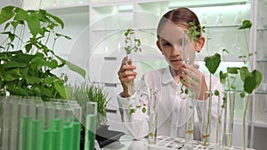 Growing Seedling Plants, Child Planting, in Chemistry Laboratory School Kid in Science Lab Student Girl Studying Biology in Class