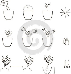 Growing seeds icons, agronomy. Thin black lines on a white background