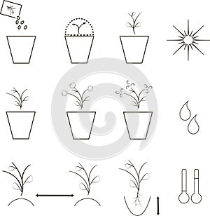 Growing seeds icons, agronomy. Thin black lines on a white background