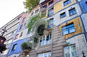 Growing tree from colorful wall of famous house in Vienna at autumn