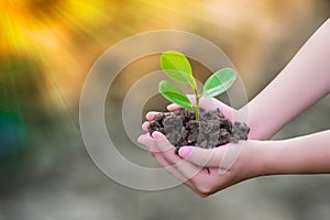 Growing trees love the world with our hands .Beautiful exuberance