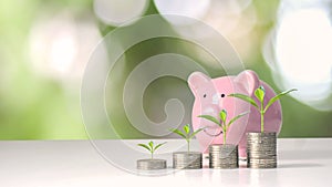 The growing trees on the money stacks include a pink pig piggy bank.