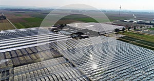 Growing vegetables in greenhouses. Large modern greenhouse. Flight over a large greenhouse. greenhouses aerial view