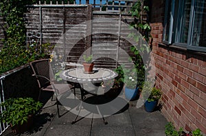 Growing vegetables on patio