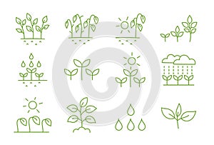 Growing and watering plants. Set of icons. Vector editable outline stroke.