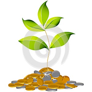 Growing Wealth Plant