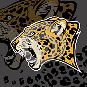 Growling jaguar vector illustration.