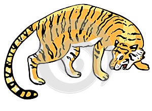 Growling tiger, vector illustration, isolated