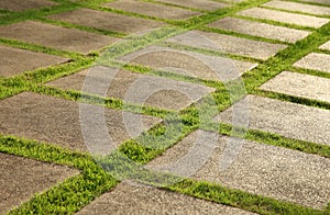 Grown lawn and slate patio