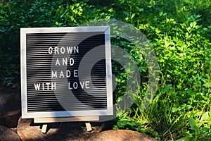 GROWN AND MADE WITH LOVE message on background of fresh eco-friendly bio grown green herb parsley in garden. Countryside