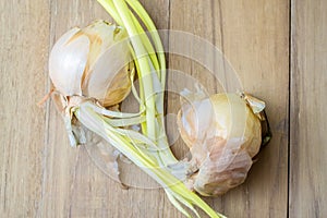 Grown onion on wooden board