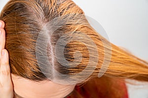 Grown after staining the gray roots of hair on the head of a woman