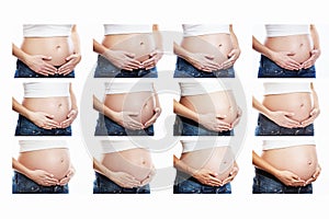 Growth of the abdomen of a pregnant woman, closeup. Set of photos of different terms. Collage. Isolated over white background.