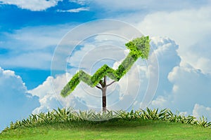 Growth business. The tree grows into a shape, pointing up the concepts of financial business growth