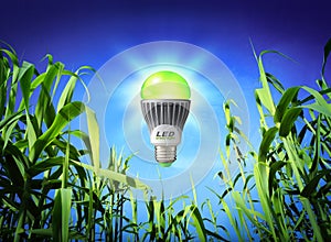 Growth ecology - led lamp - green lighting