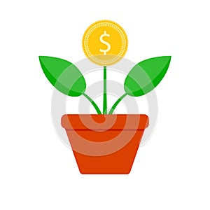 Growth finance coin tree