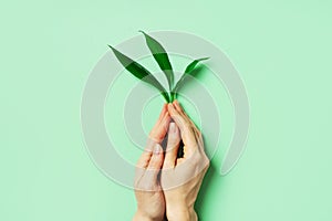 Growth and gardening creative concept with hand holding sprout on green background