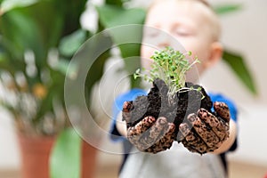 Growth at home gardening and learning botany concept. Young boy proudly holding seedlings and soil in hands