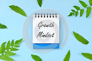 Growth mindset reminder concept. Beautiful minimalist natural flat lay composition with blue notepad