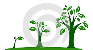 Growth of plant from seeds sprout to vegetable.Planting tree.Gardening