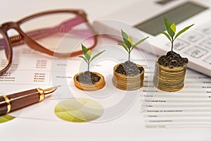 Growth plants on stack of coins on paper analyze financial graph with calculate for investment business.