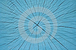 Growth rings and cracks