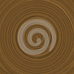 Growth rings illustration (dendrochronology) photo